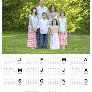 2017 Poster Calendar (16x20)