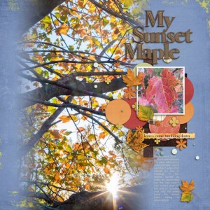 Sgleason_nov2016 - My Sunset Maple
