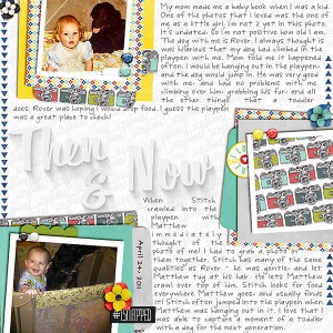 2016-Playpen-and-Dog