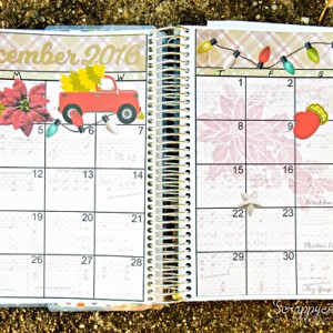 December 2016 Monthly Planner Overlay
