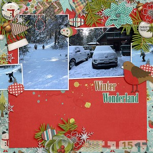 Winter Wonderland