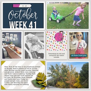 2016 week 41 - left side