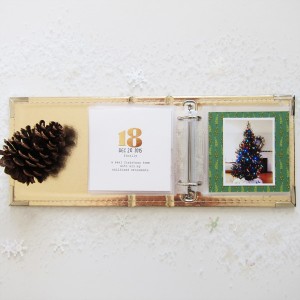 December Album - Memory 18