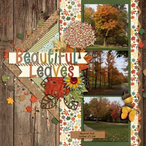 Beautiful Leaves
