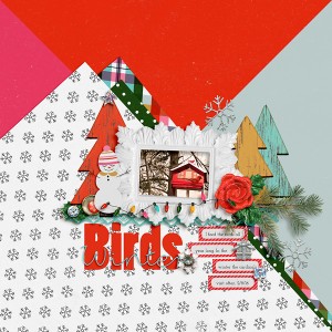Winter Birds