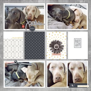 2016 10 Week 41 Puppies