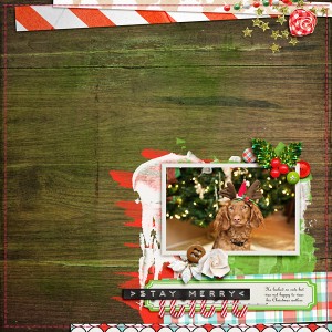 Stay Merry
