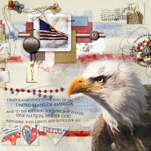 I Pledge Allegiance...
