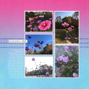 Nov 14 speed scrap - Late Flowers