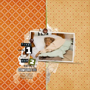 Comfort Lover