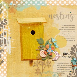 Nesting