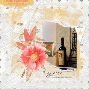 Vignette
