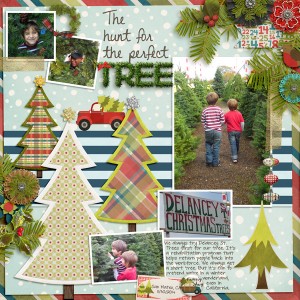 The Hunt for the Perfect Tree