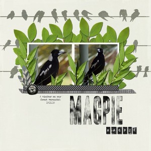 Magpie