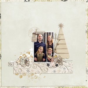 Winter wishes