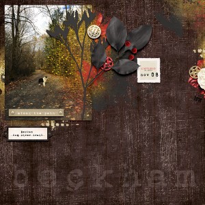 Along The Path