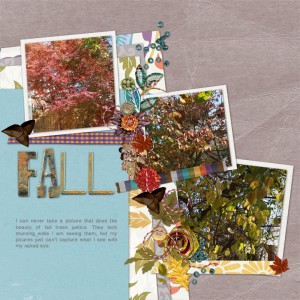 2016-nov-random