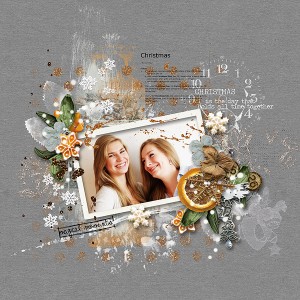 Sisters in Law