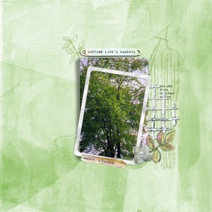 980529_weedtree