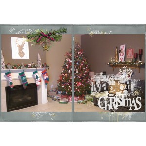 DYD 2015 Magical Christmas