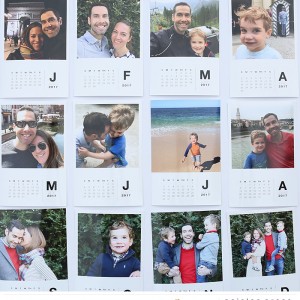 Paislee-2017CalendarbyCatherineSaunders-001