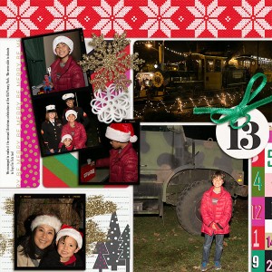 DYD2014-13-2