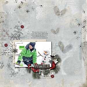 Frozen-in-Time