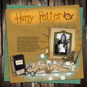 Harry Potter Lover