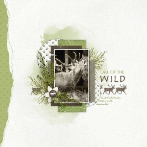 Call Of The Wild