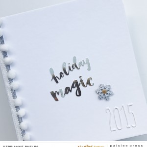 2015-DD-cover-