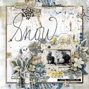 2012 Snow In The Meadow...