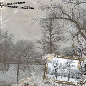 Winter Memories