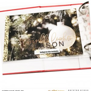PP-Merrier-projectbykerrianne-copy