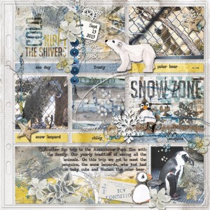 Snow Zone