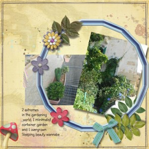 Garden Challenge Nov