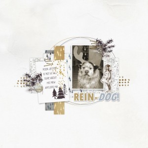Riendog