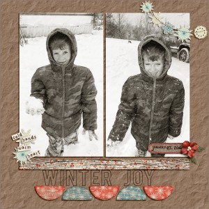 WinterJoy
