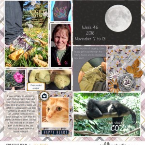 2016-Week-46-jjnov16-sahlin-byoc