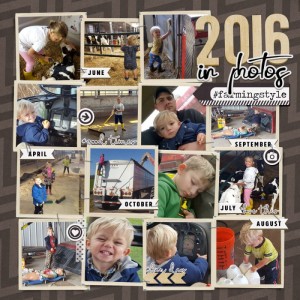 2016 Farming Style