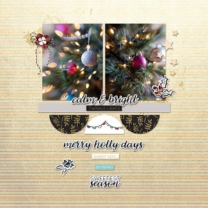 Calm and Bright Twinkle Lights