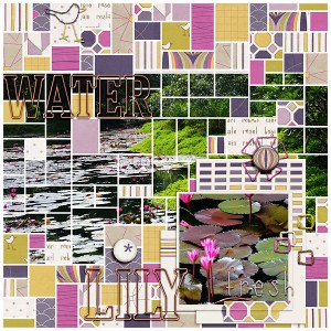 Water-Lily