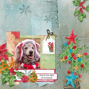 Lacey elf