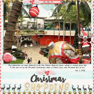Christmas Shopping 1