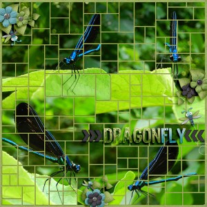 Dragonfly