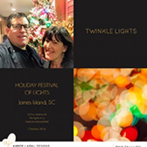 Holiday Festival of Lights