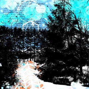 2016-12_December-TLP_AJ-Shared-Layout#1_web