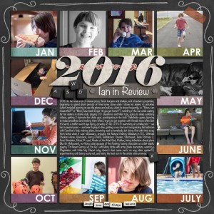 2016 Ian in Review