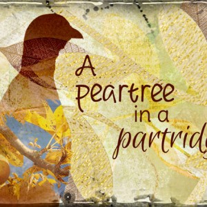 DAY 1:  ATC-2016-90-Pear-Tree