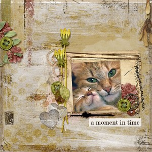 Moment in time