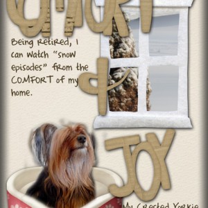 Comfort-&-Joy